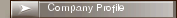 Company Profile